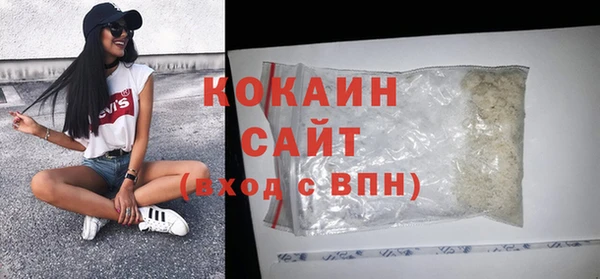 сатива Приозерск